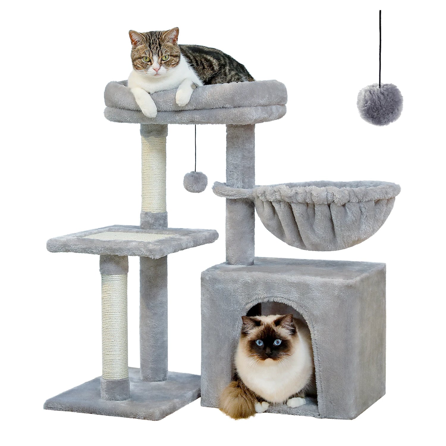 Pet Furniture