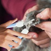Pet Nail Clippers Nail Clippers And Trimmer For Puppy Portable Grooming Tool Professional And Safe Nail Trimmer For Cats Birds