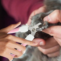 Pet Nail Clippers Nail Clippers And Trimmer For Puppy Portable Grooming Tool Professional And Safe Nail Trimmer For Cats Birds